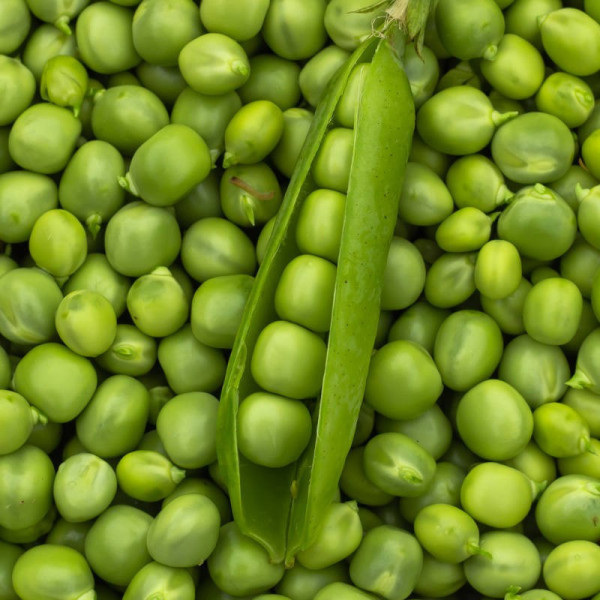 Petit pois à écosser - 500g