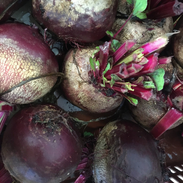 Betterave rouge - 500g