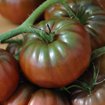 Promo tomates second choix - 2kg Promo tomates second choix - 2kg
