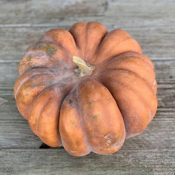 Courge Musquée - 1kg
