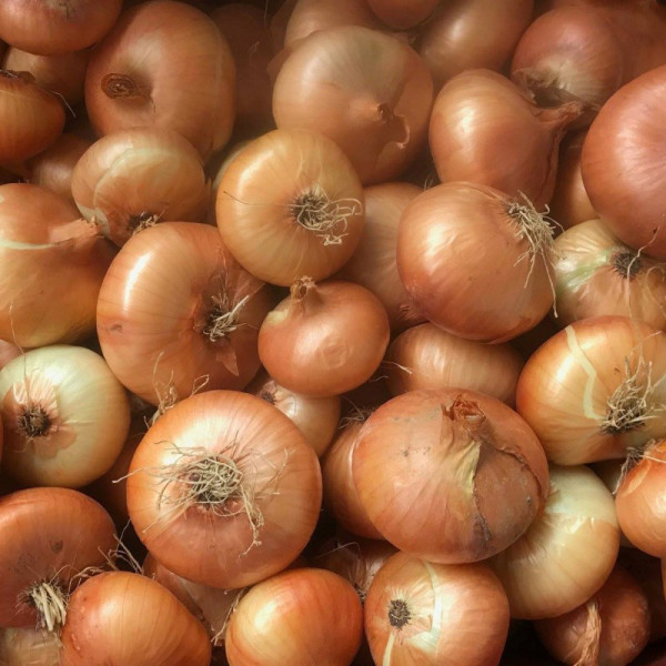 Petit oignon jaune - 500g