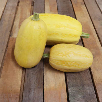 Courge spaghetti -1 à 1,5kg / pièce Courge spaghetti -1 à 1,5kg / pièce
