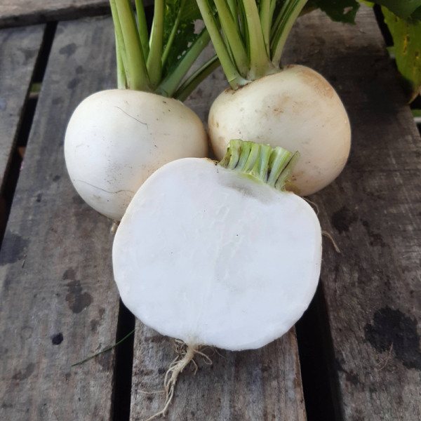 Navet Blanc - 500g