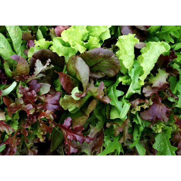 Mesclun - 300g
