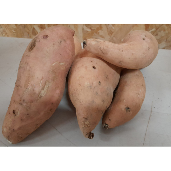 patate douce blanche - 1kg