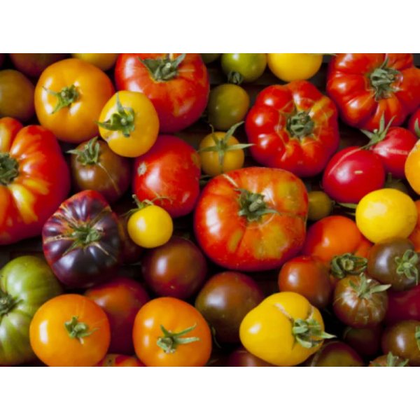 Tomate Ancienne - 500g