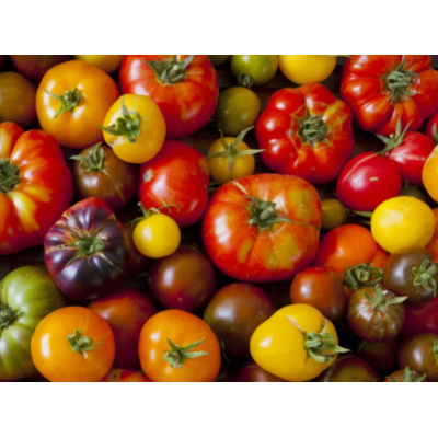 Tomate Ancienne - 2 kg Tomate Ancienne - 2 kg