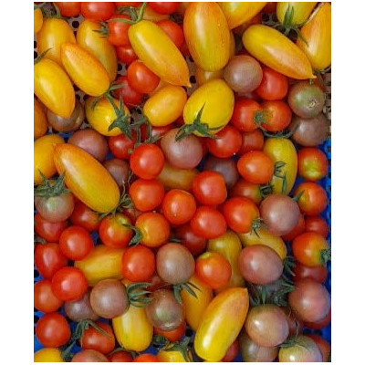 Tomate cocktail - 300 g Tomate cocktail - 300 g