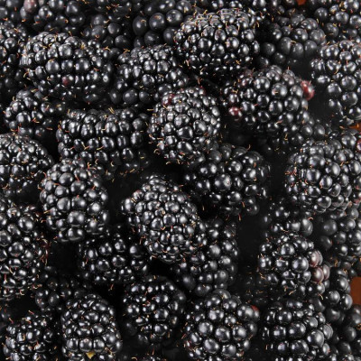 mûres - 250g