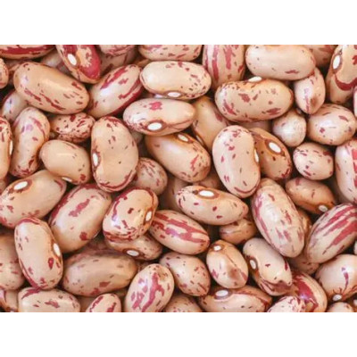 Déjà écossé - haricot coco Big Borlotto SEC - 500gr