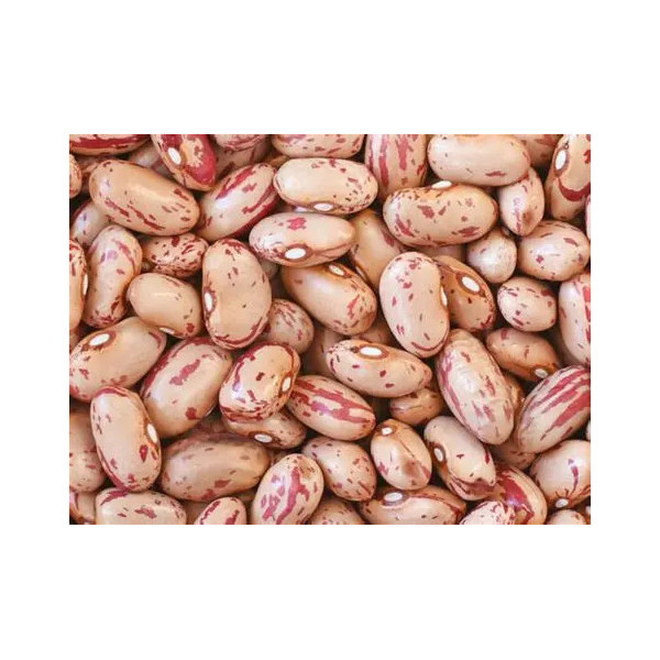 Déjà écossé - haricot coco Big Borlotto SEC - 500gr