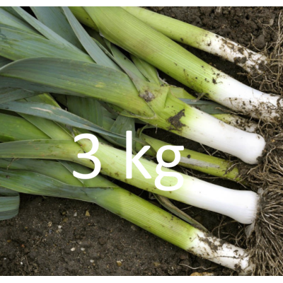 PROMO Poireau - 3 KG