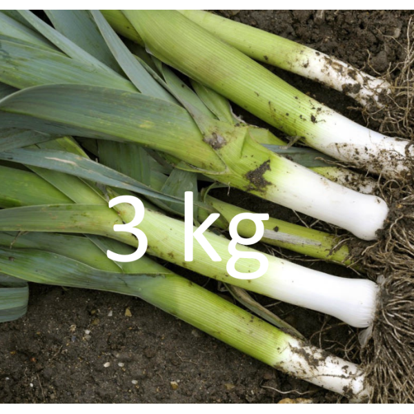 PROMO Poireau - 3 KG