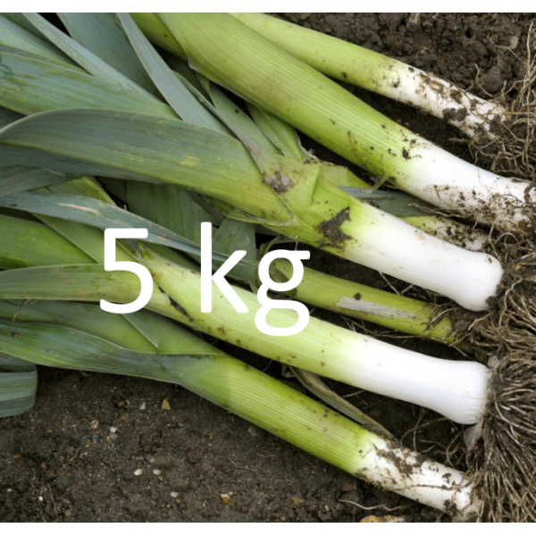 PROMO Poireau - 5 KG