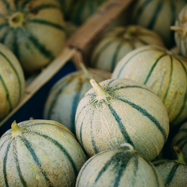 Melon - 1 pièce
