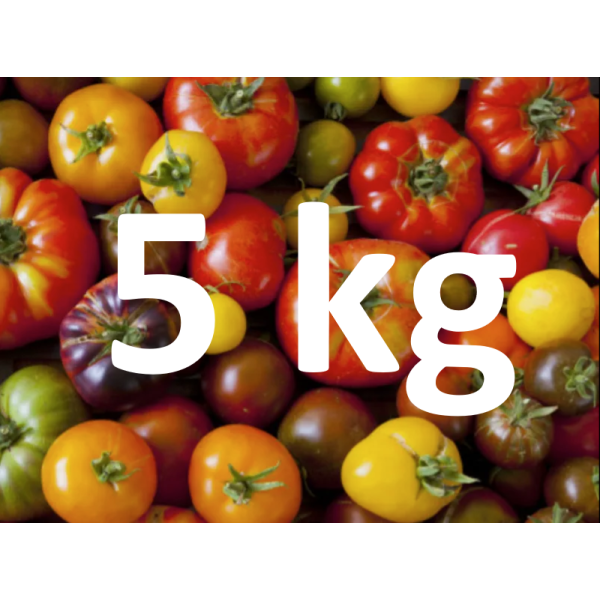 VENTE FLASH Tomate Ancienne - 5 kg