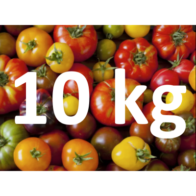 VENTE FLASH Tomate Ancienne - 10 kg