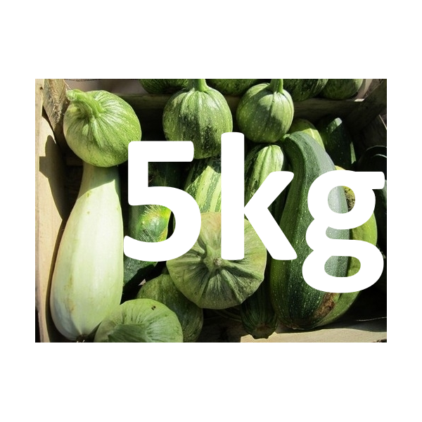 VENTE FLASH Courgette verte - 5kg