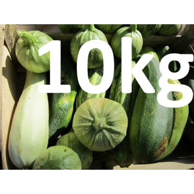VENTE FLASH Courgette verte - 10kg