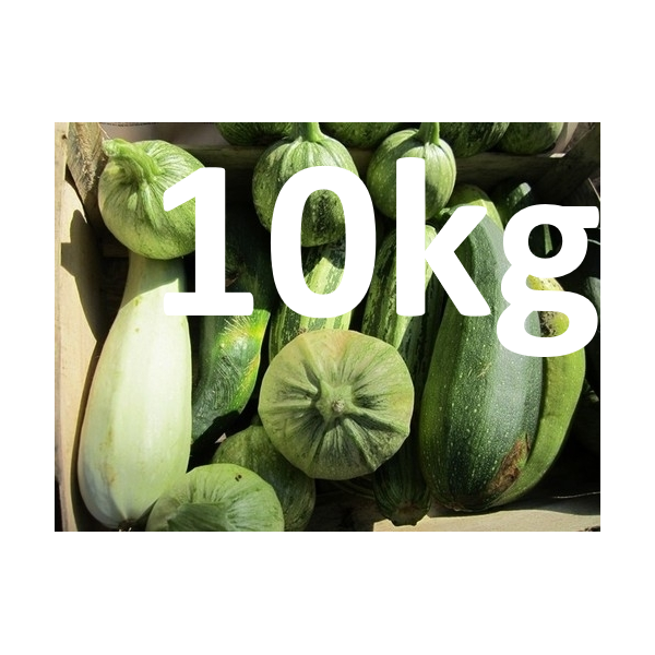 VENTE FLASH Courgette verte - 10kg