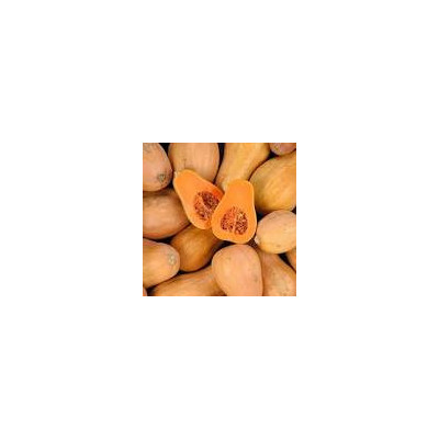 Courge Sucrine de Berry -1kg