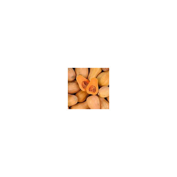 Courge Sucrine de Berry -1kg