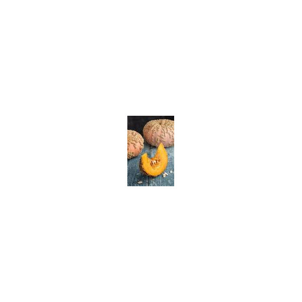 Courge Galeuse d'Eysines -1kg