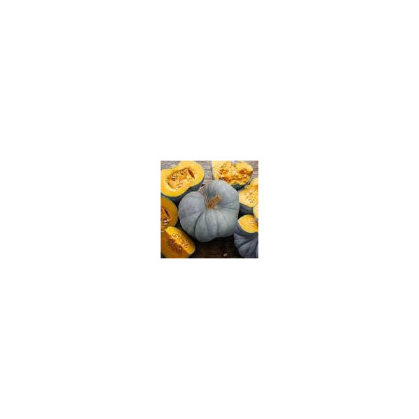 Courge Tristar -1kg