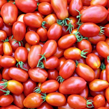 Tomate à coulis - 1kg