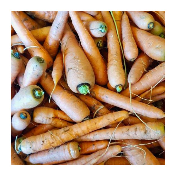 Carotte conservation - 500g