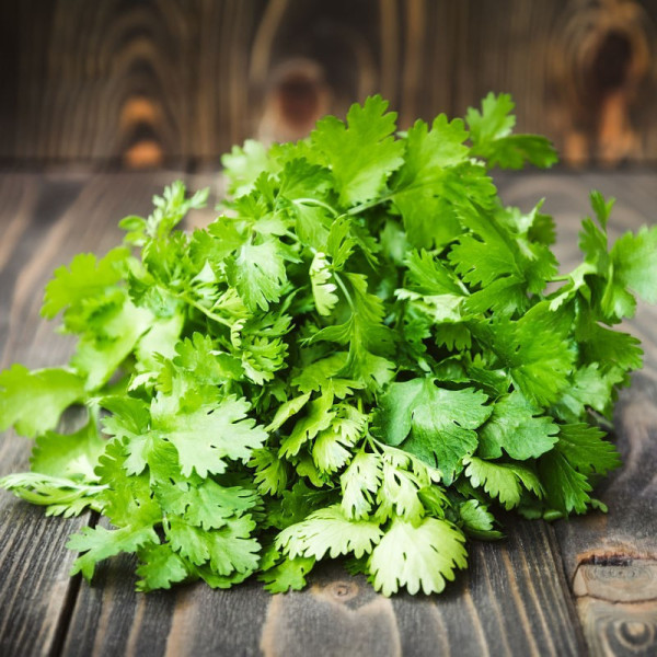 Coriandre - 1 bouquet